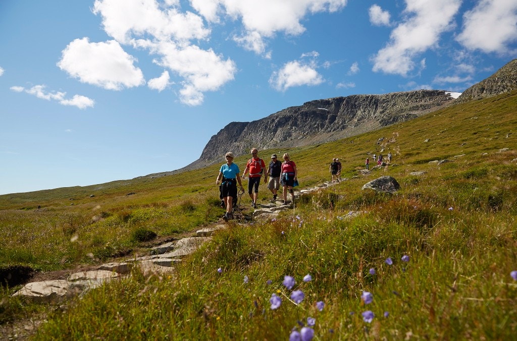 Foto: Morten Knudsen Galleribilde