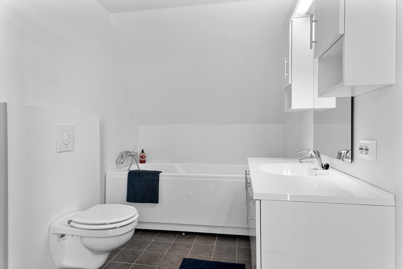 Vegghengt toalett Galleribilde