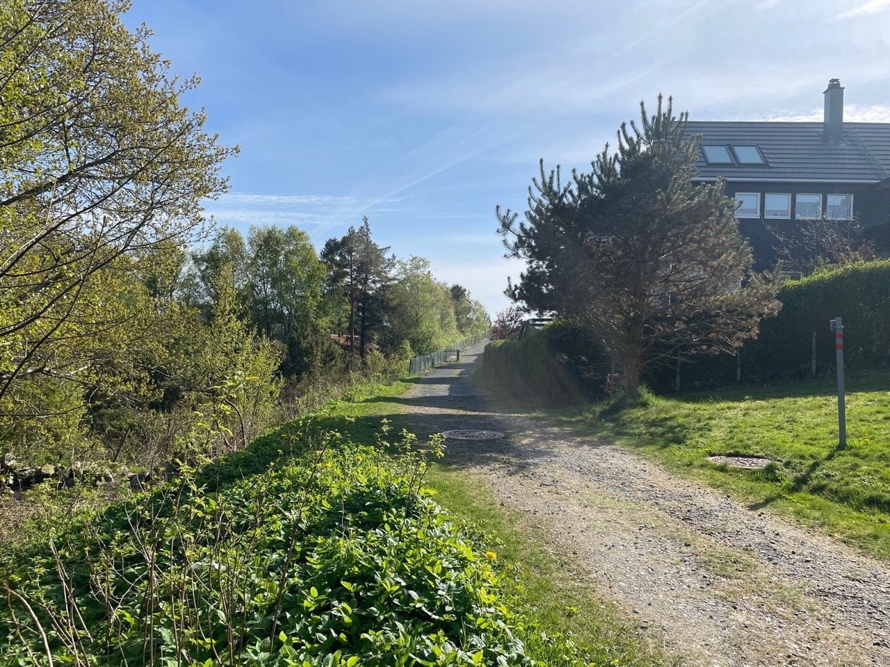 Gangsti Galleribilde