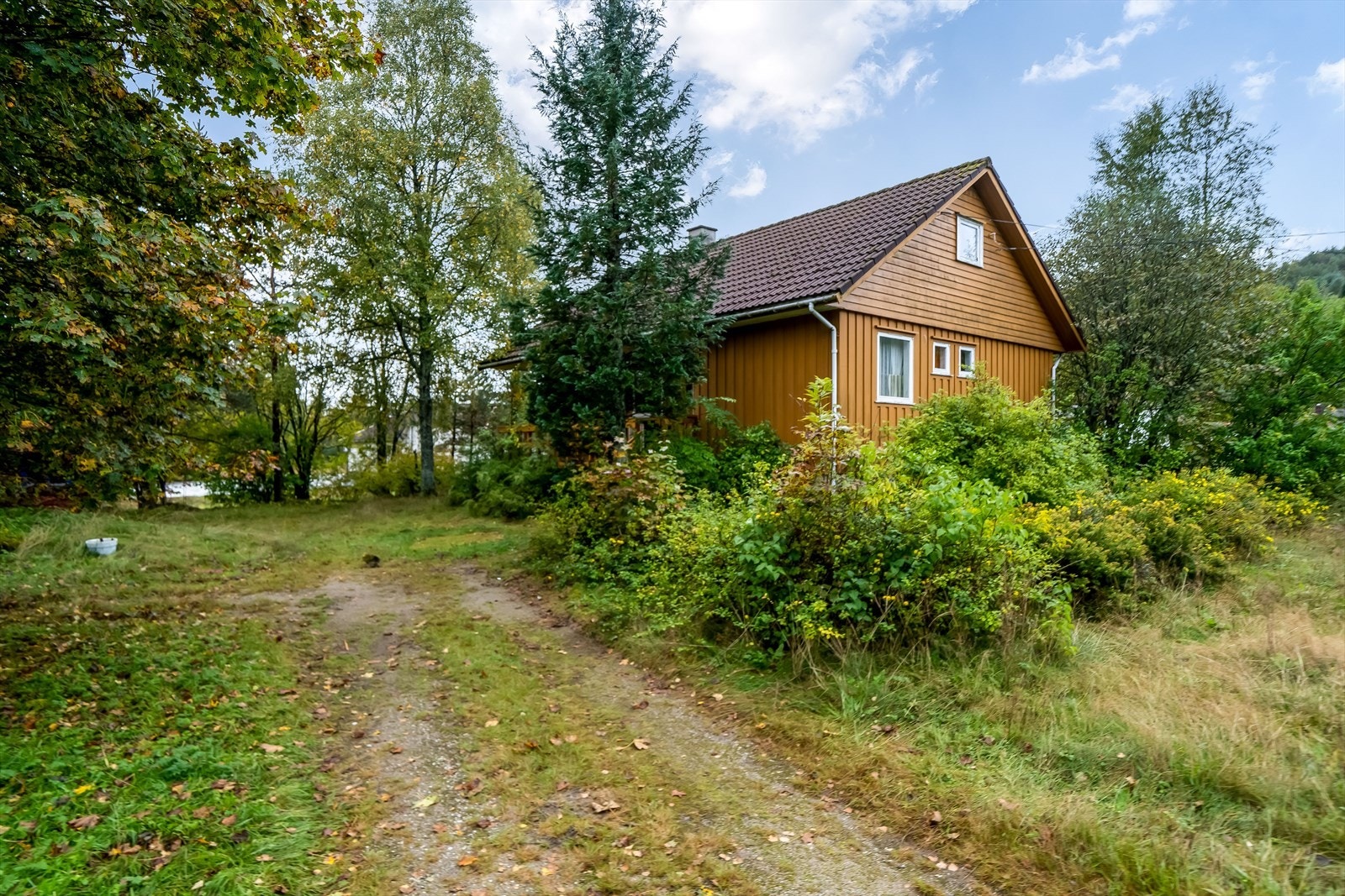 Innkjørsel Galleribilde