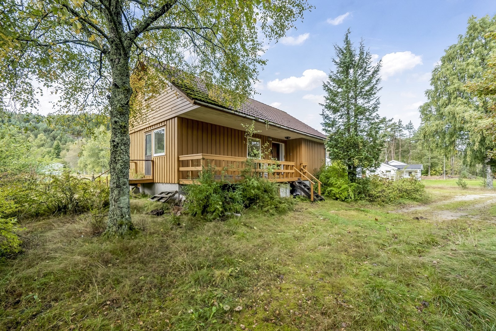 Uteområdet er opparbeidet med noe plen, trær og prydbusker. Galleribilde