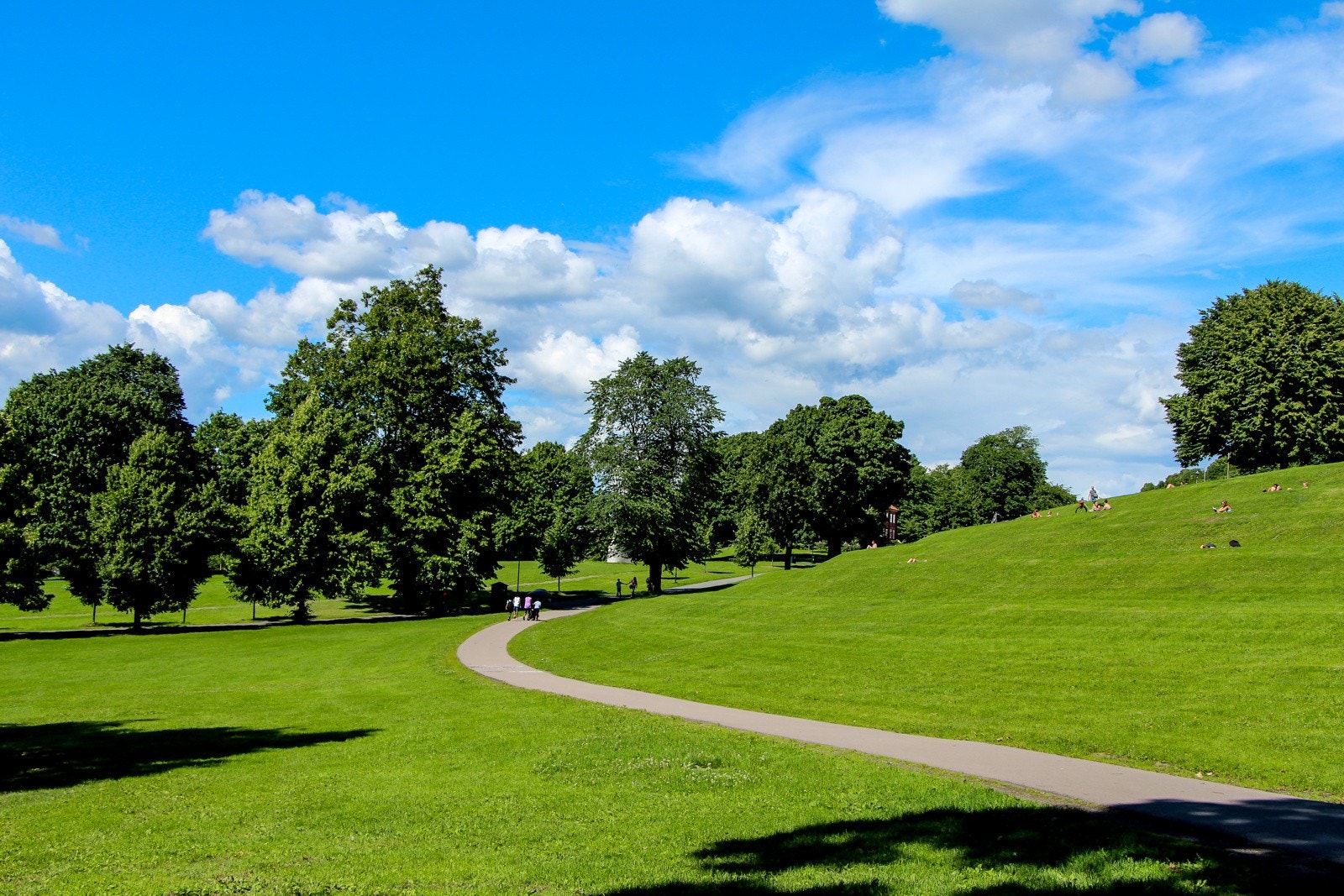Lange, late sommerdager kan nytes på et grønt teppe i Tøyenparken, eller Ola Narr. Her arrangeres også Øyafestivalen; en årlig pop- og rockefestival. Galleribilde