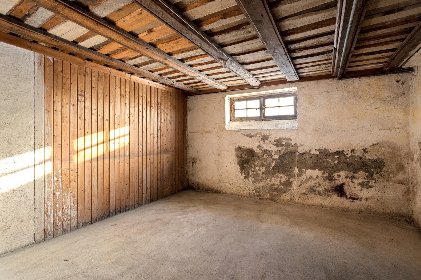 Bodareal. Galleribilde