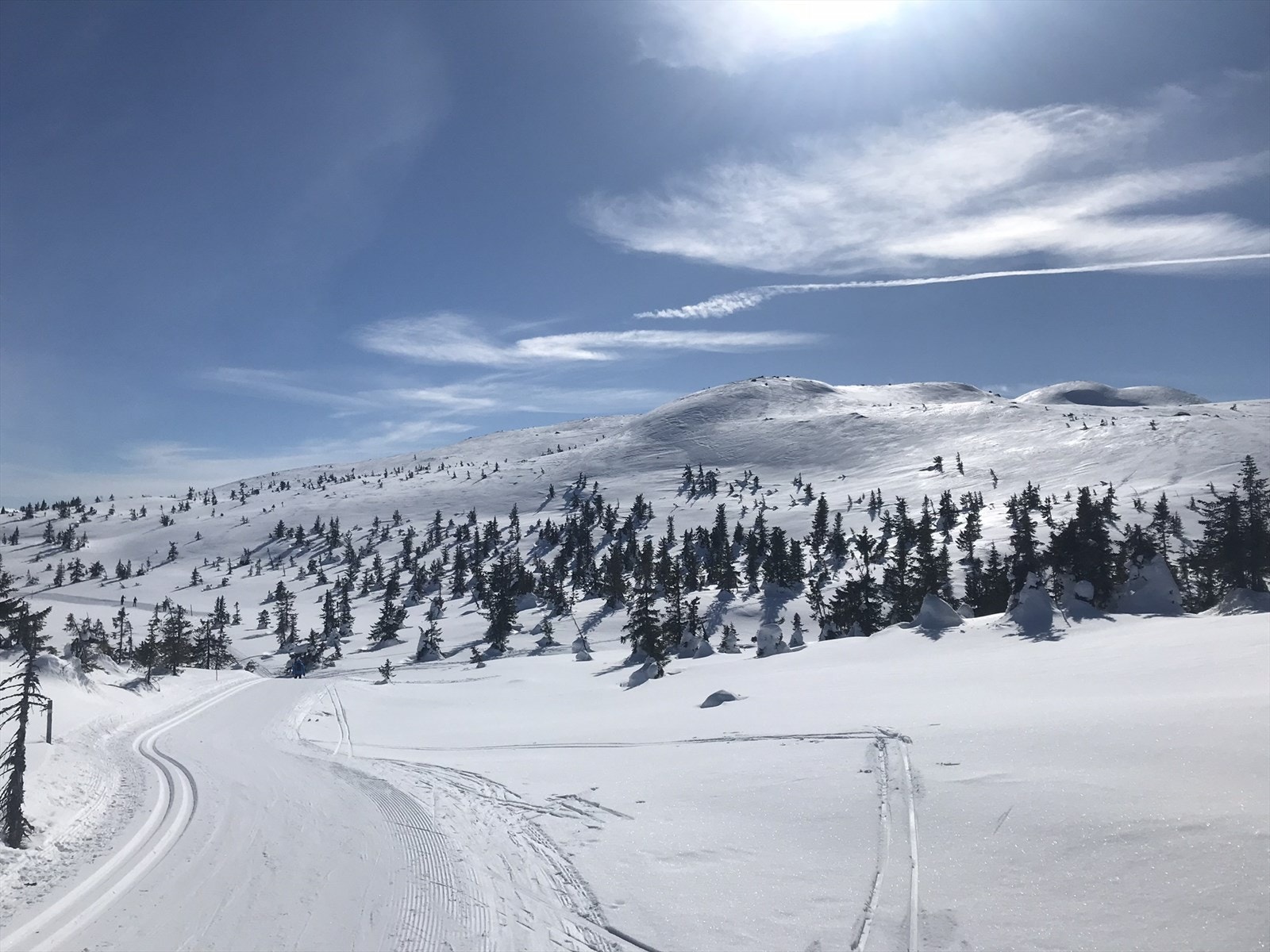 Sammenhengende, flotte preparerte skiløyper rett ved hytta ca. 70 kvm på Vikerfjell og ca. 60 km på Nes/Veltelia. Galleribilde