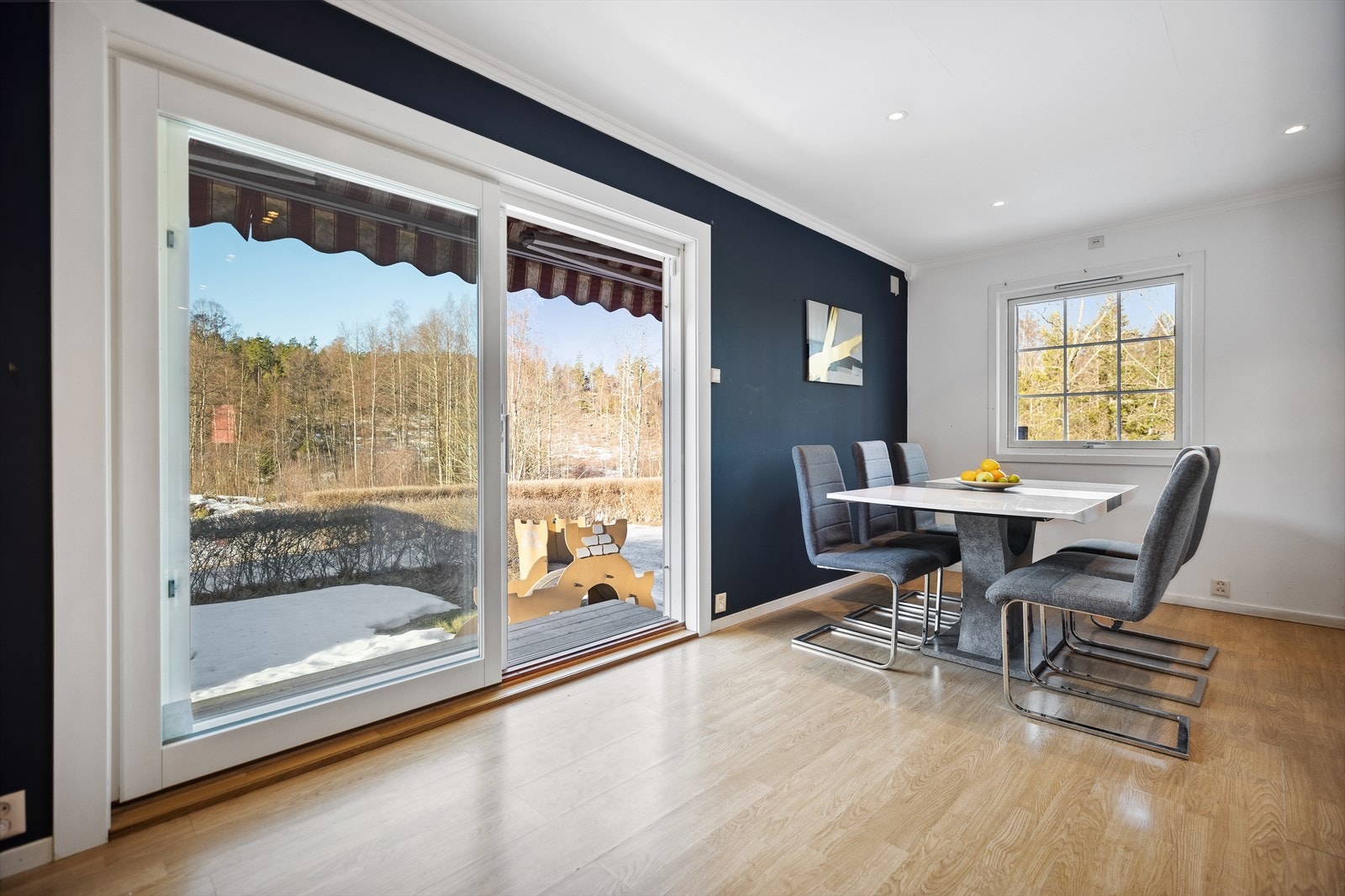 Spisestue og utgang til hagen. Galleribilde
