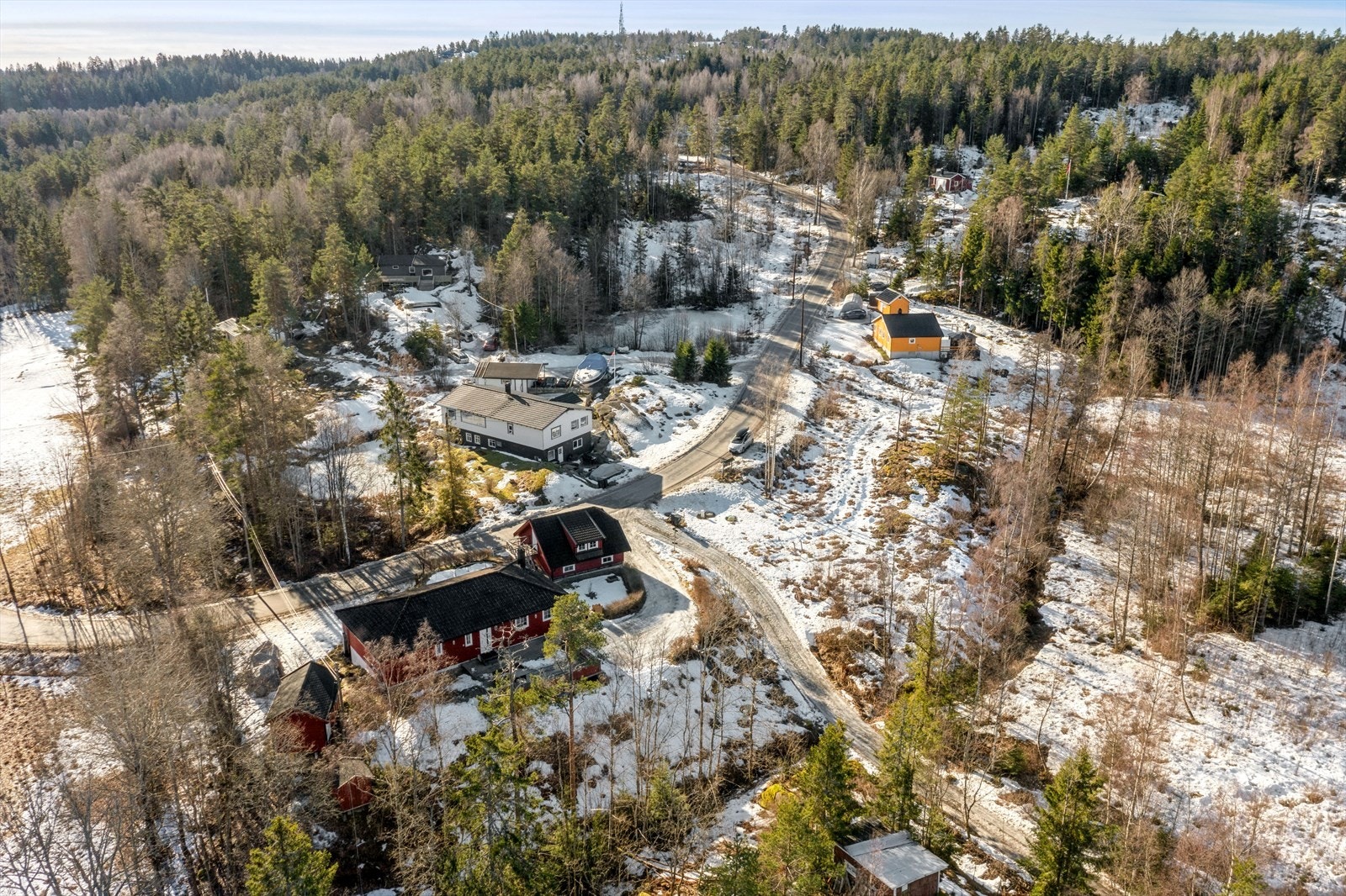 Naturen som en av de nærmeste "naboene". Galleribilde