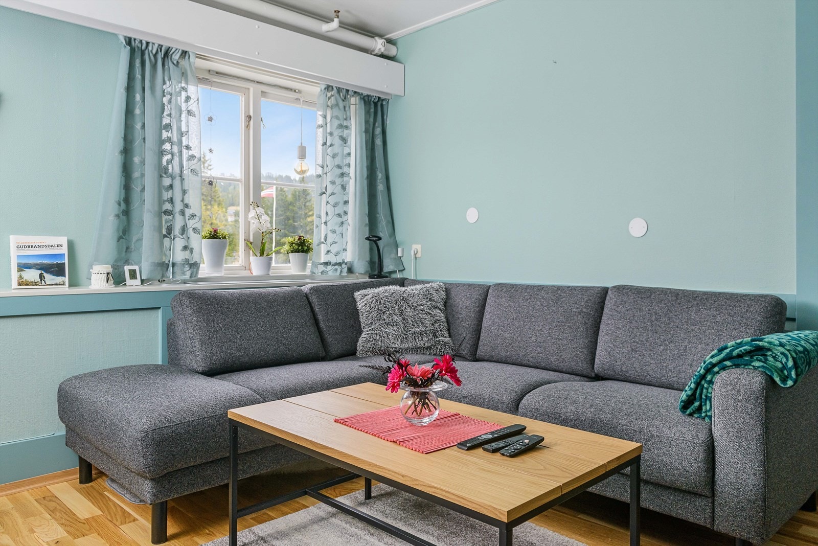 Radiatorer som oppvarming. Galleribilde