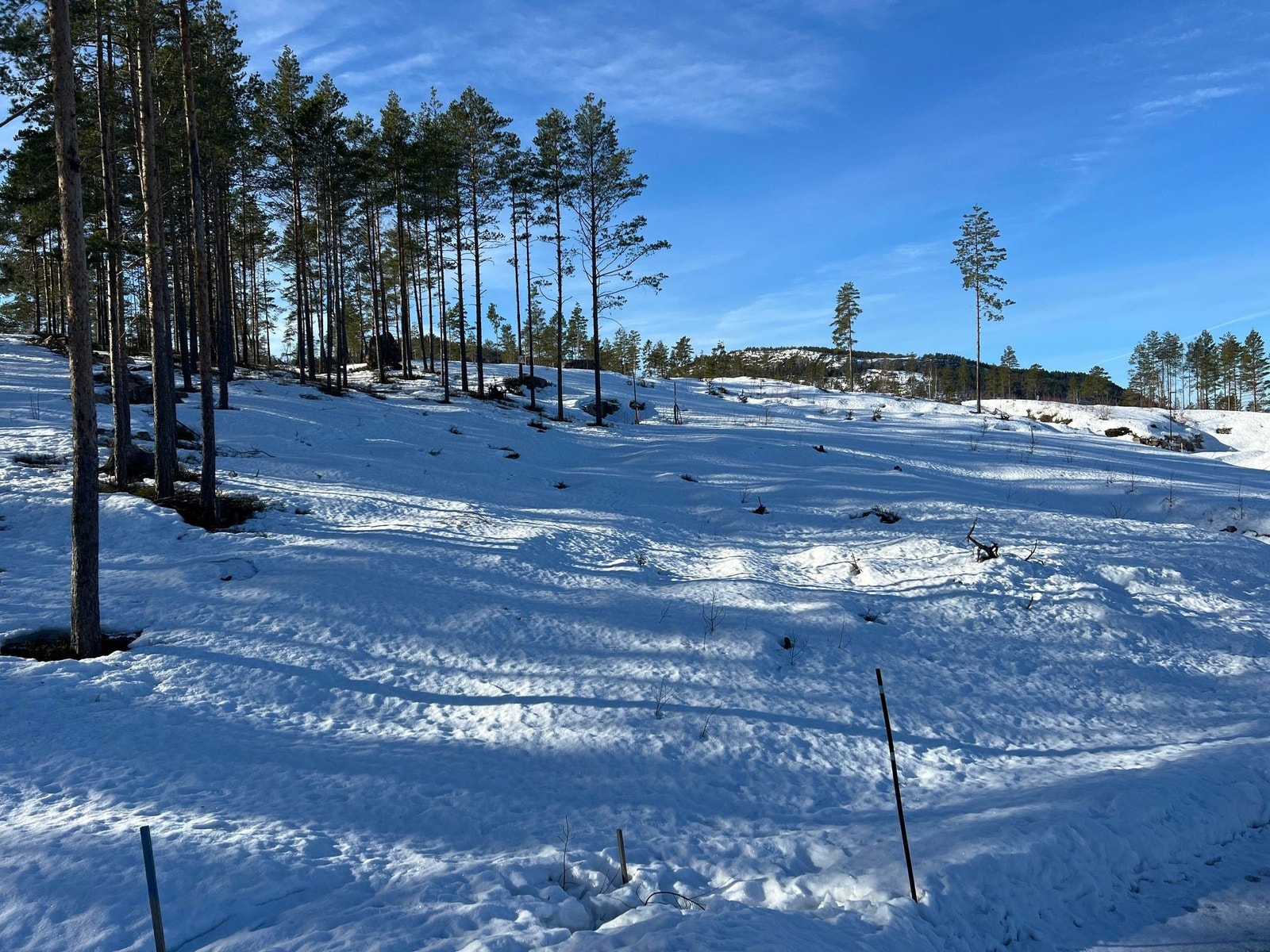Tomtebilde Nordbøbergja 64 Galleribilde