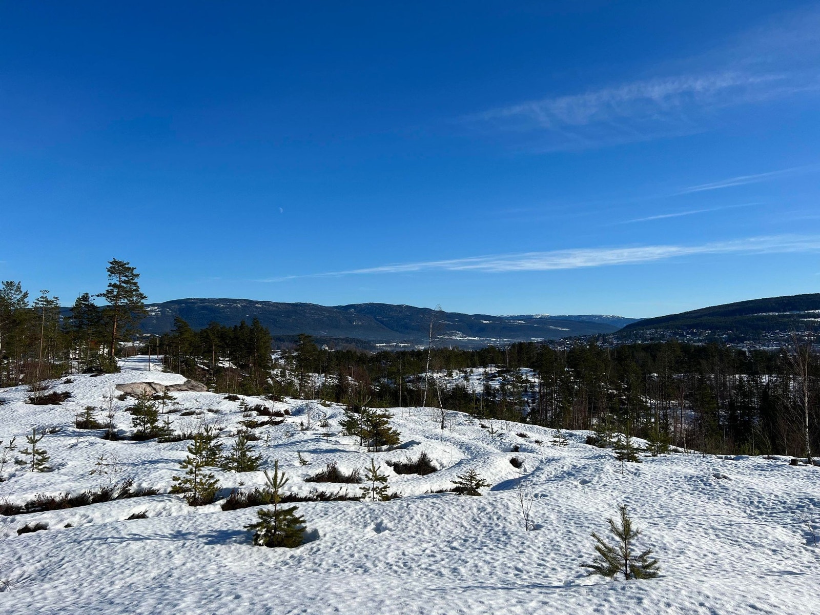Området Galleribilde