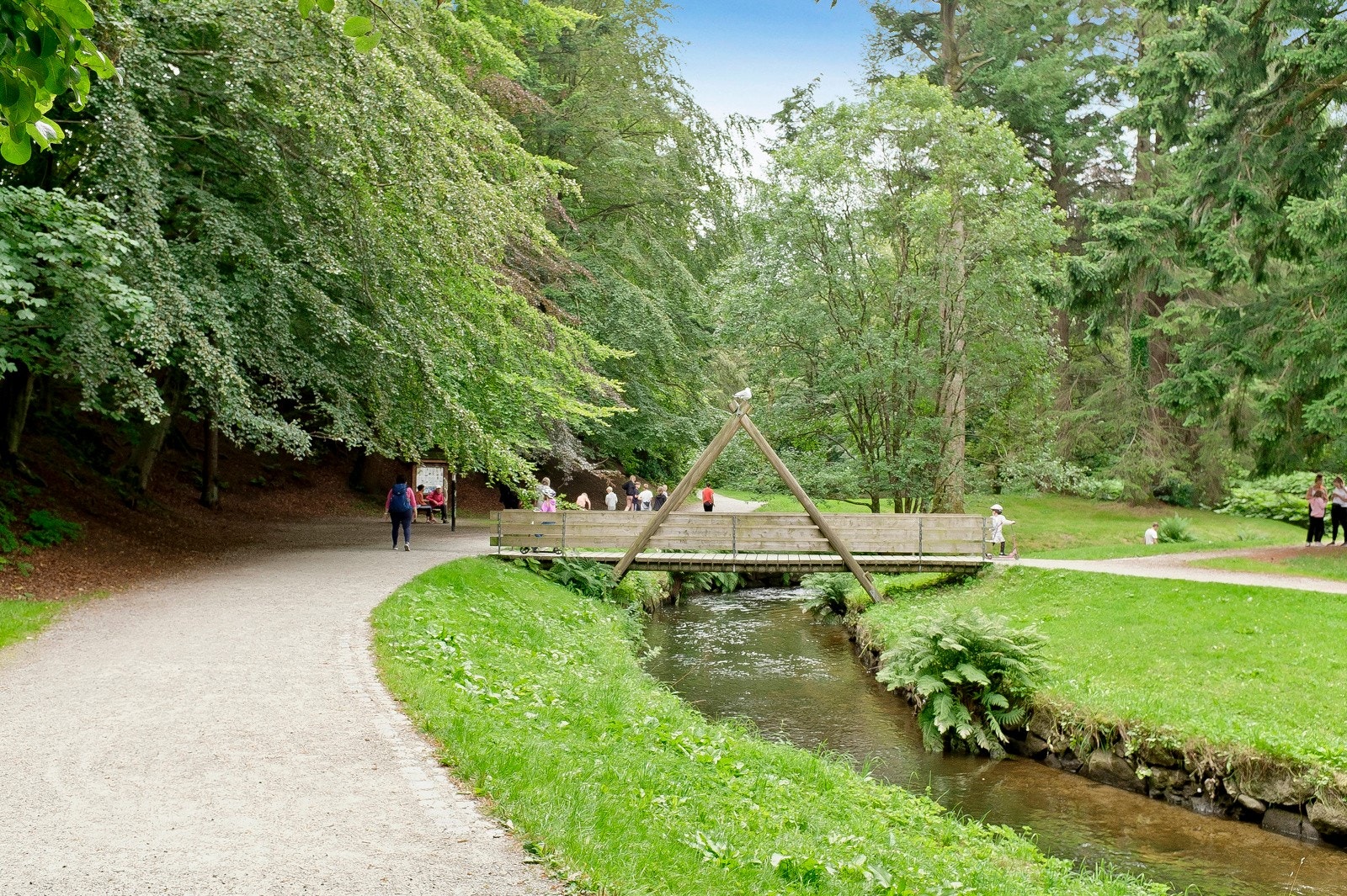 Nærområde Galleribilde