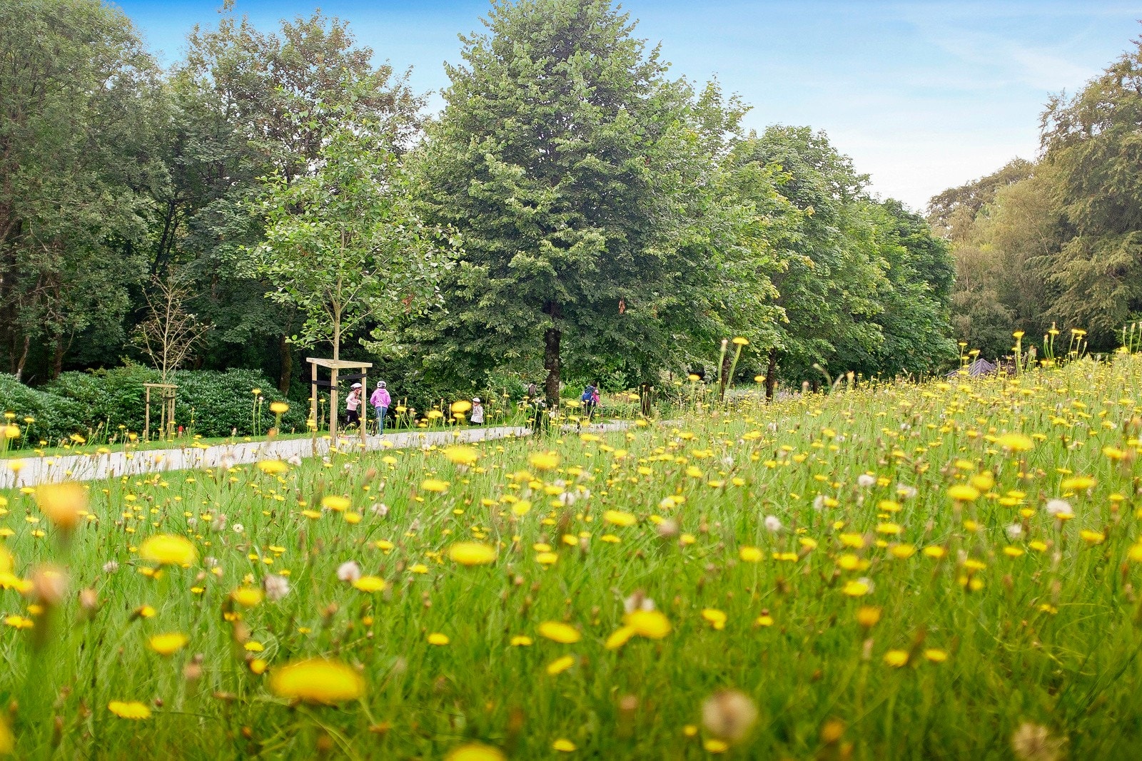 Nærområde Galleribilde