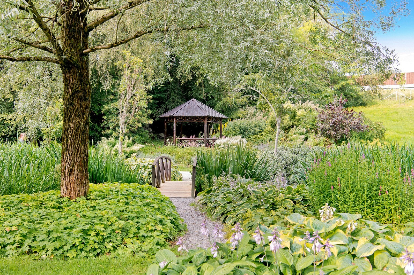 Nærområde Galleribilde