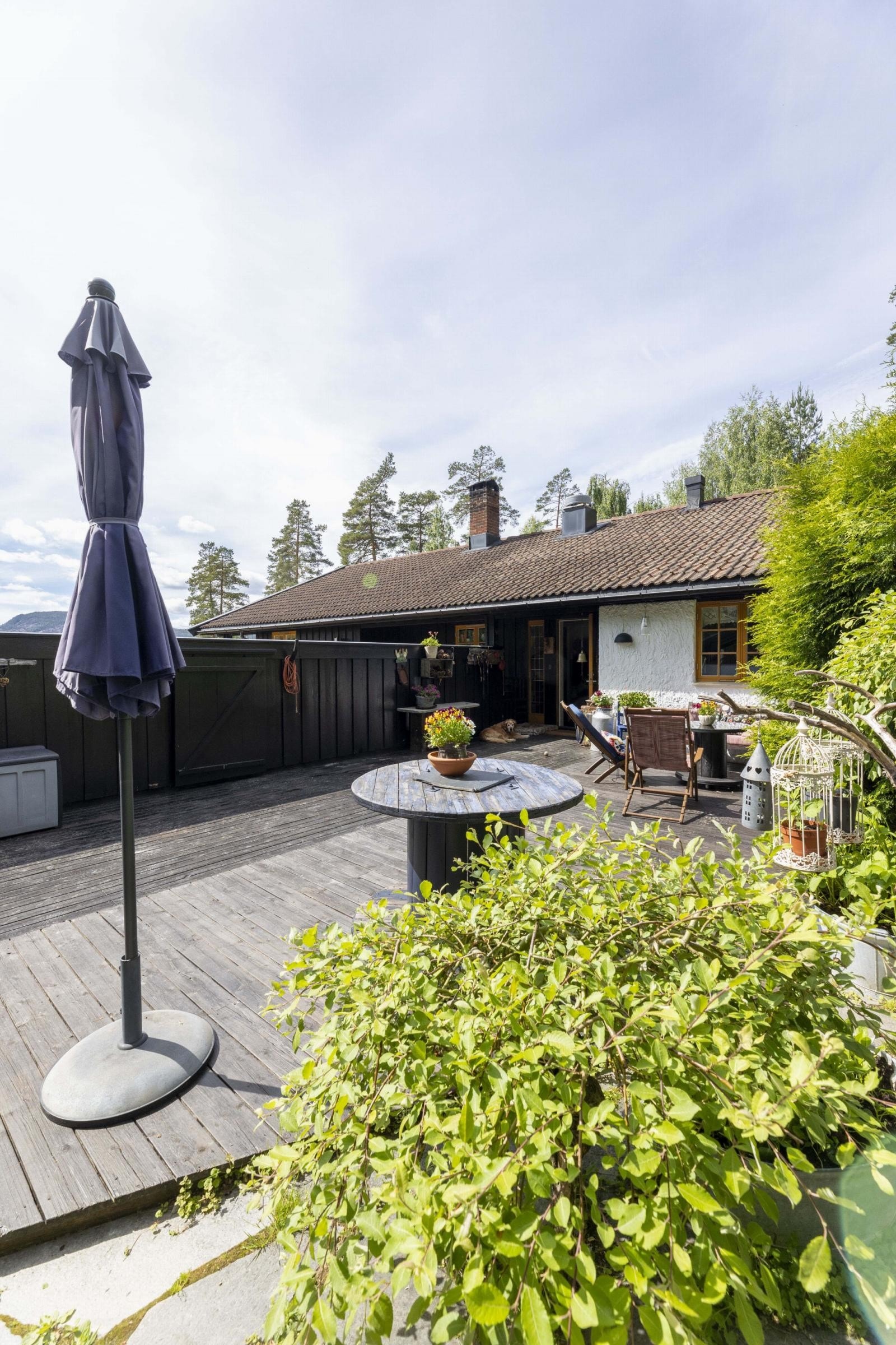 Platting med kveldssol, liggende til hovedhuset Galleribilde
