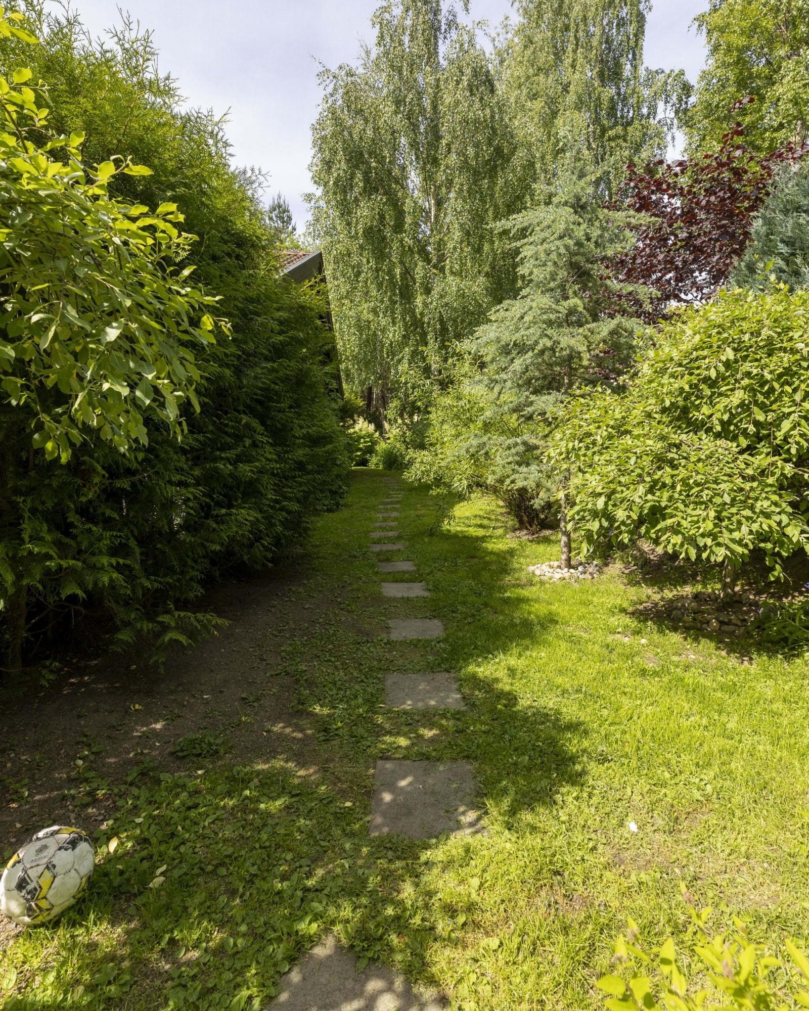 Grøntområde ved hovedhusets bakside Galleribilde