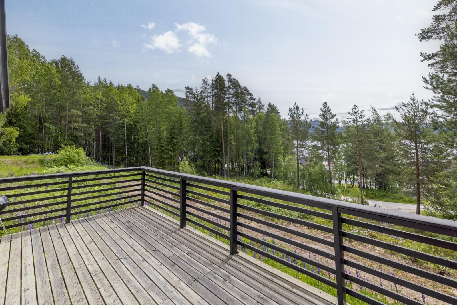 Utsikt fra veranda i Veslehuset Galleribilde