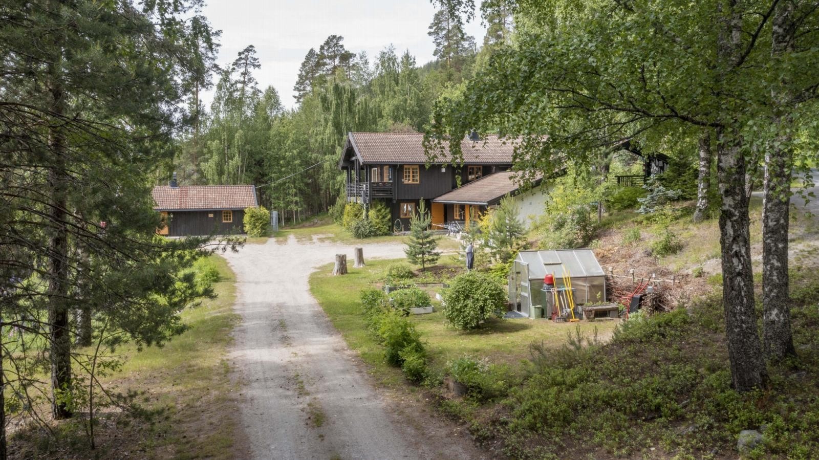 Innkjørsel til eiendommen, legg merke til drivhuset! Galleribilde