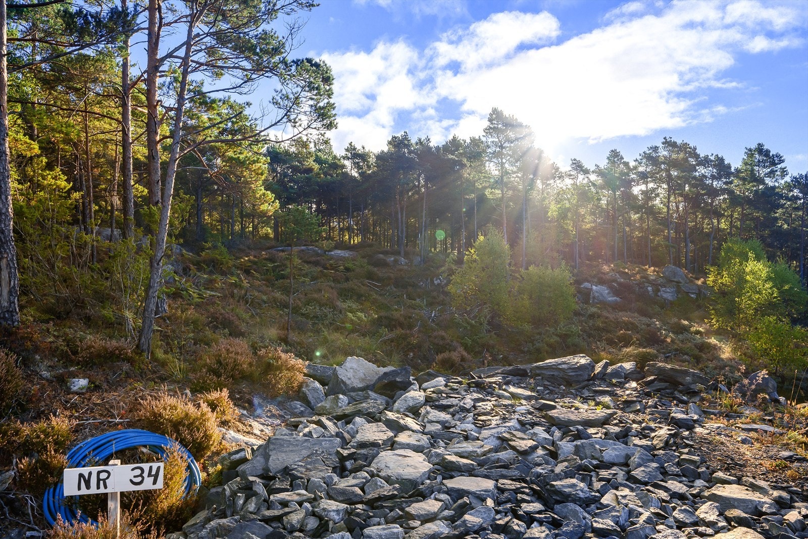 Tomtene er nummerert og merket Galleribilde