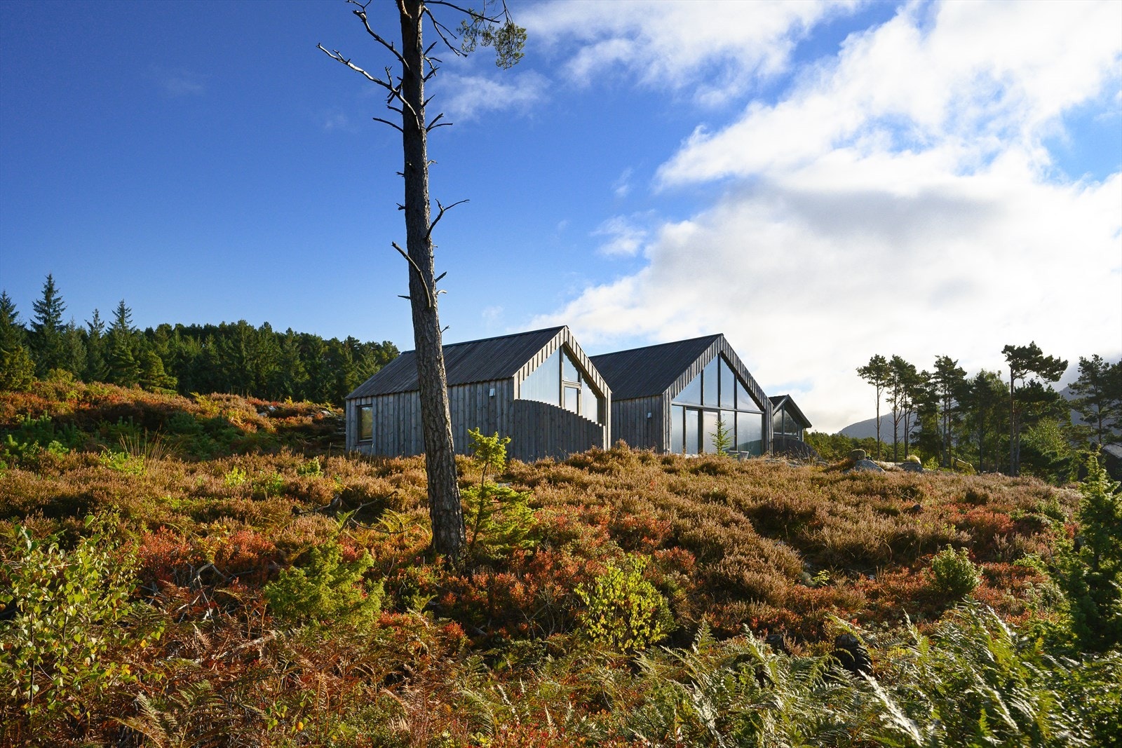 Det er allerede bygget flere hytter på feltet Galleribilde