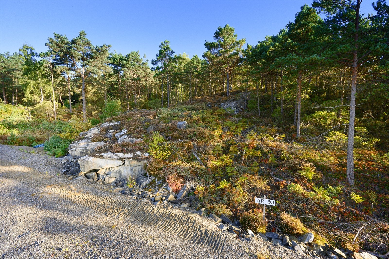 Tomt 33 Galleribilde