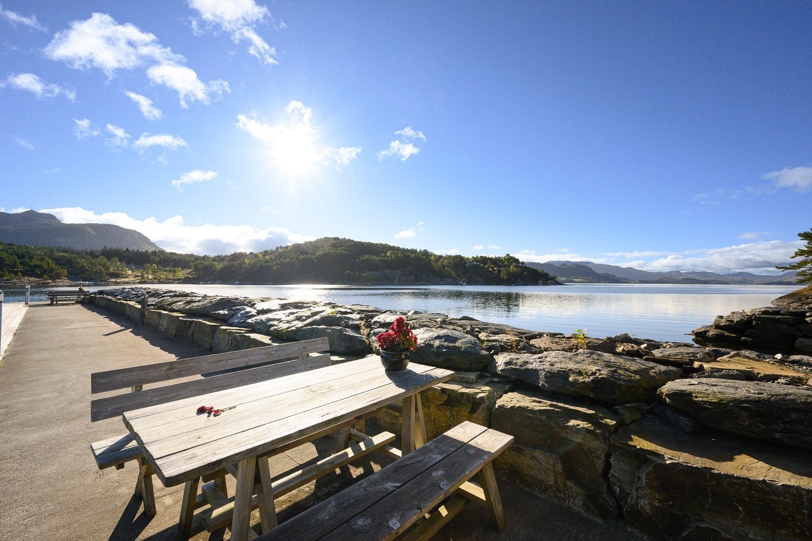 ? med benker Galleribilde