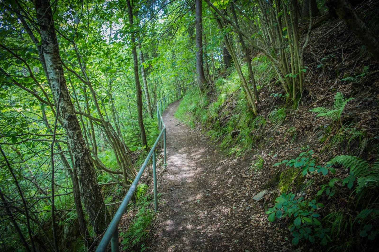 Fra eiendommen er det direkte tilgang til den idylliske turstien langs Lysakerelven Galleribilde