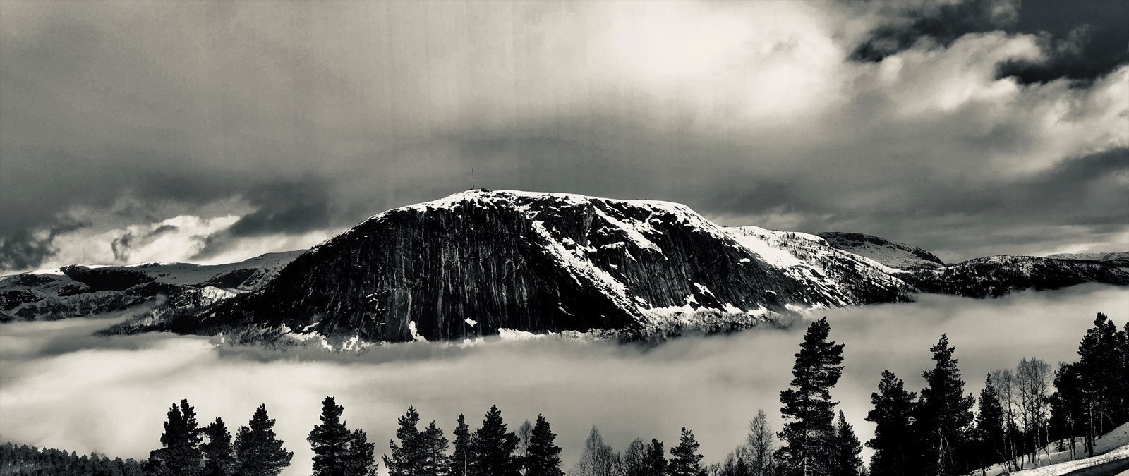 Private bilder Galleribilde