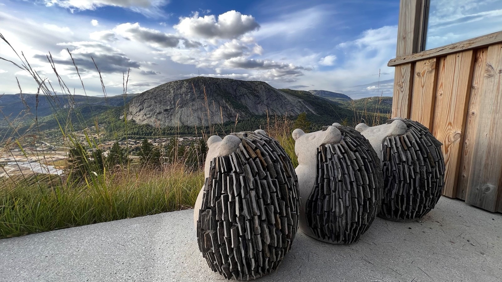 Private bilder Galleribilde