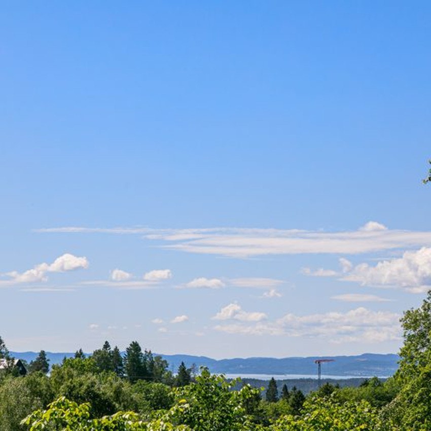 Fin utsikt mot fjorden Galleribilde