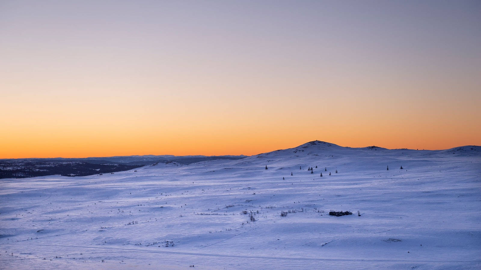 Morgonstemning Gaukelinatten. Galleribilde