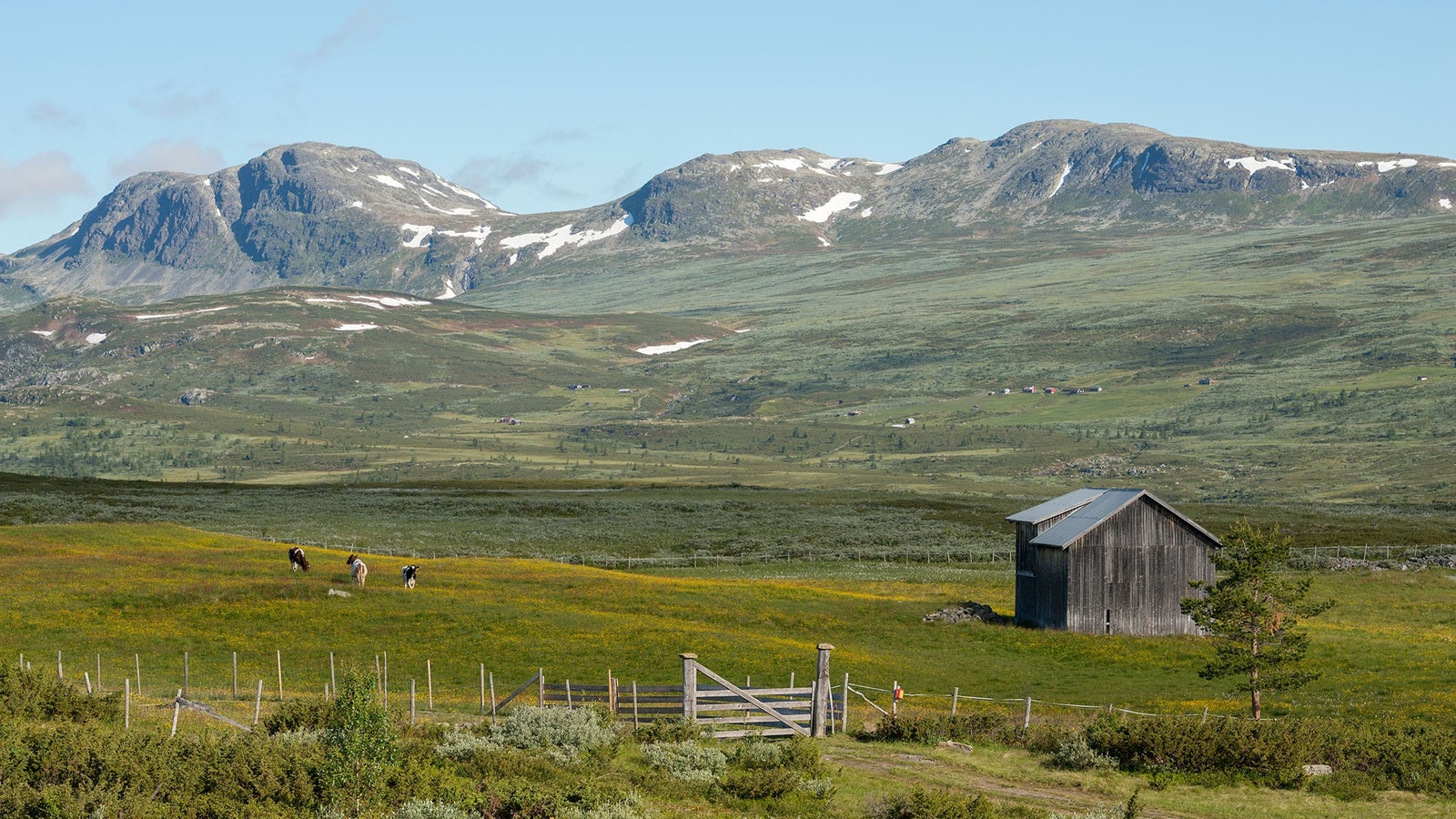 Gaukelie, mot Haugestølane og Blåbergi. Galleribilde