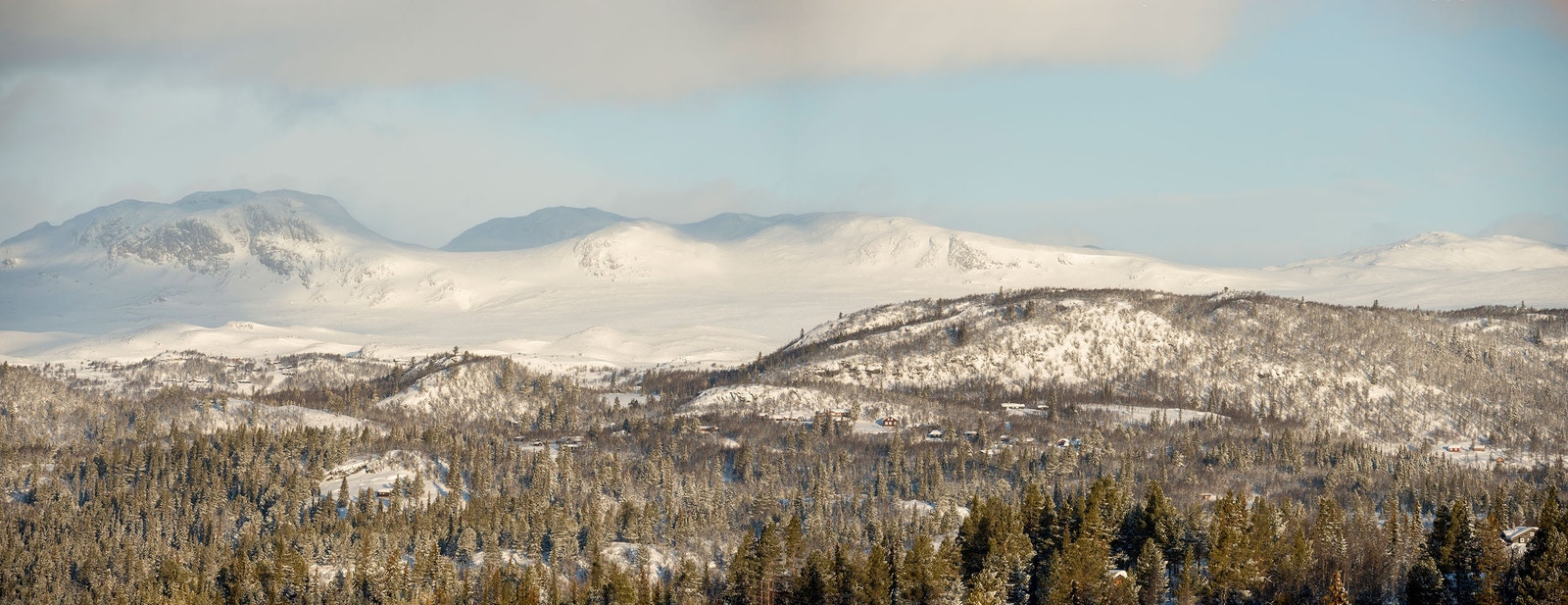 Området rundt hyttefelltet. Galleribilde