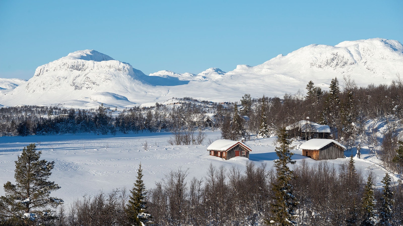 Hovdestølen, ved innkøyringa til hyttefeltet. Galleribilde