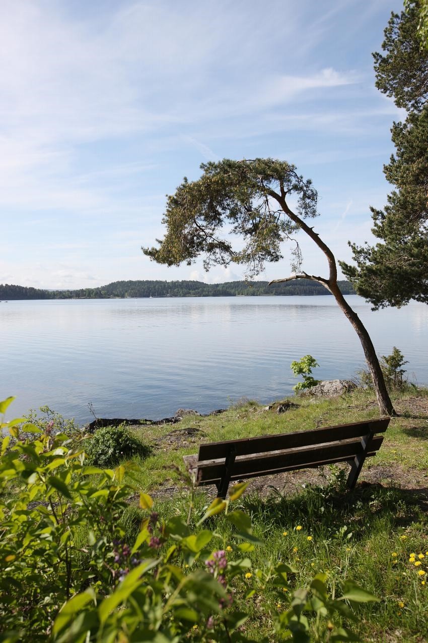 Nærhet til sjøen med fine turstier, badestrender og båthavner Galleribilde