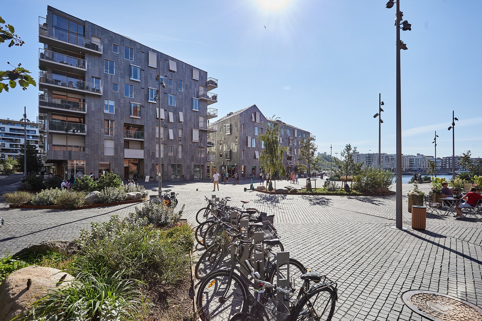 Områdebilde. Galleribilde