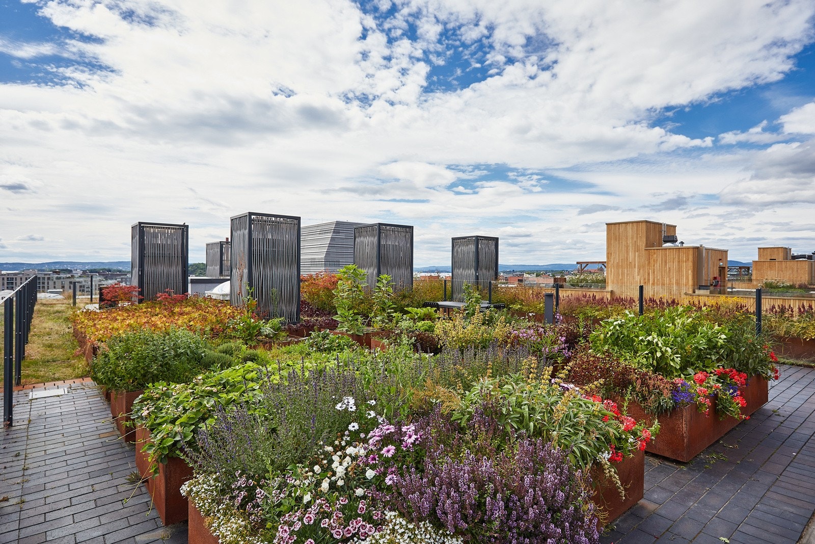 Takterrassen er flott beplantet! Galleribilde