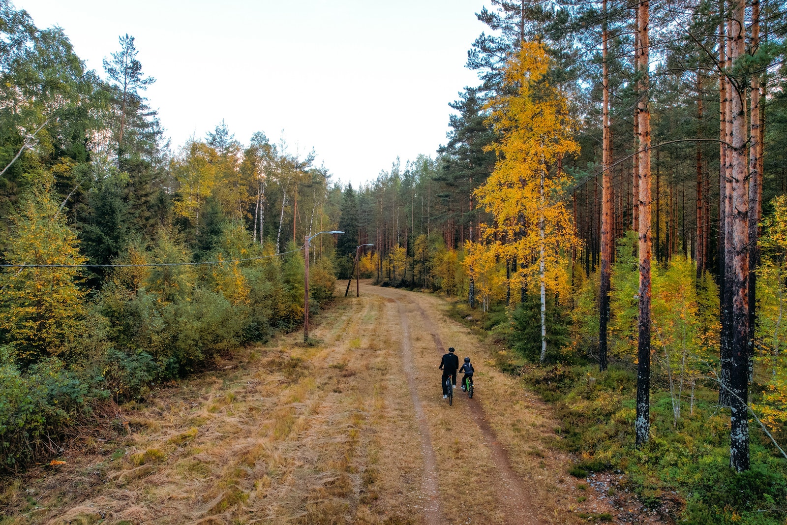 lysløype Galleribilde