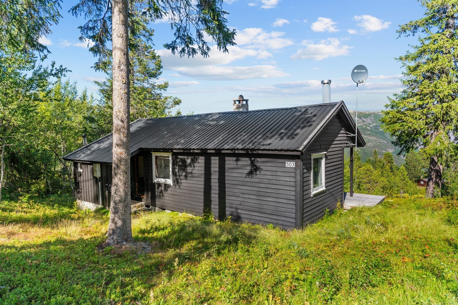 Adkomst til hytta via sti, med parkering ca. 15 meter fra hytteveggen. Galleribilde