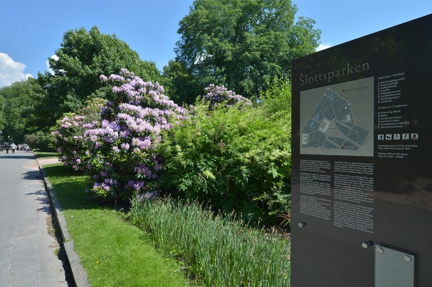 - Slottsparken - Galleribilde