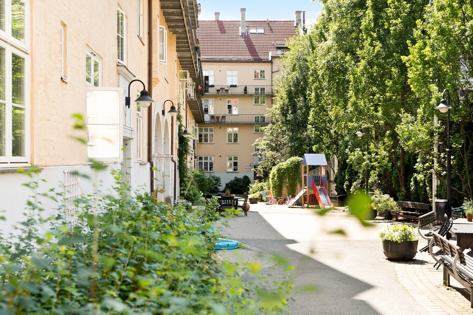 Flott felles hage. Galleribilde