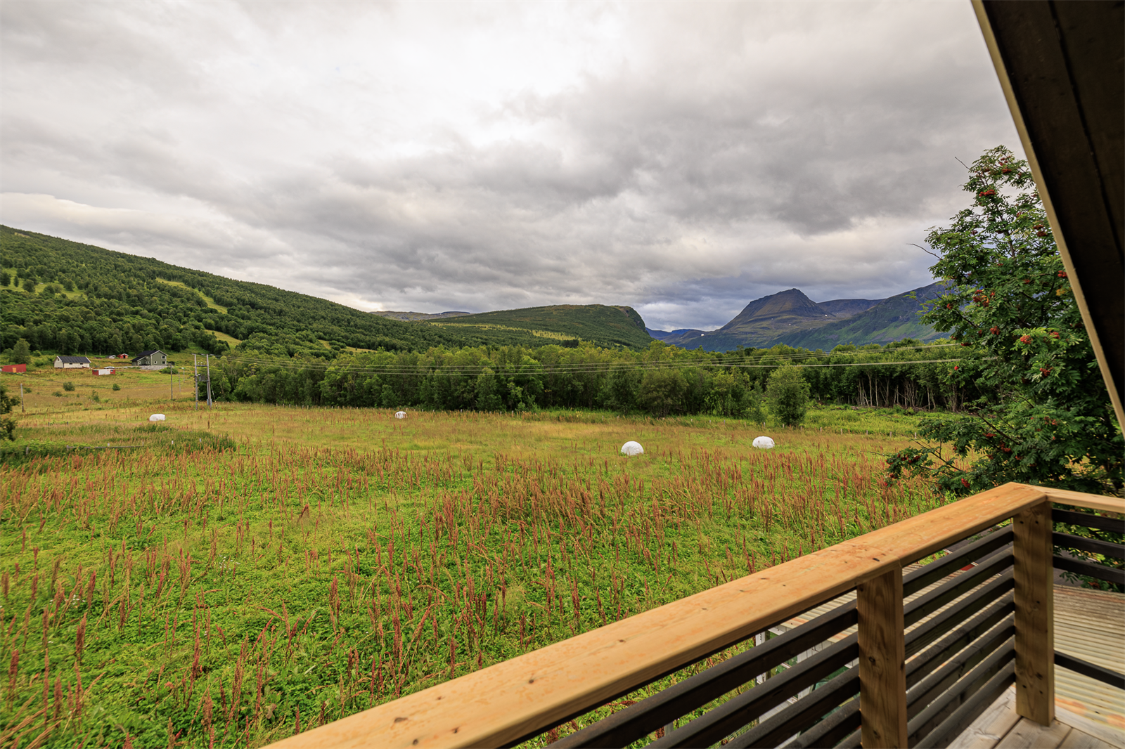 Gode solforhold på eiendommen. Galleribilde