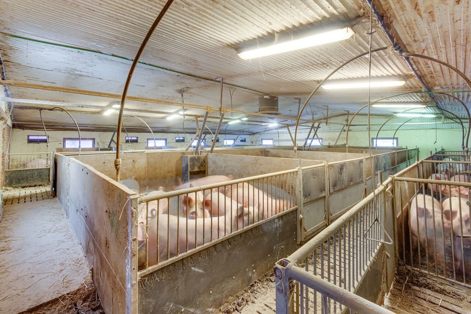 Produksjonsareal Galleribilde