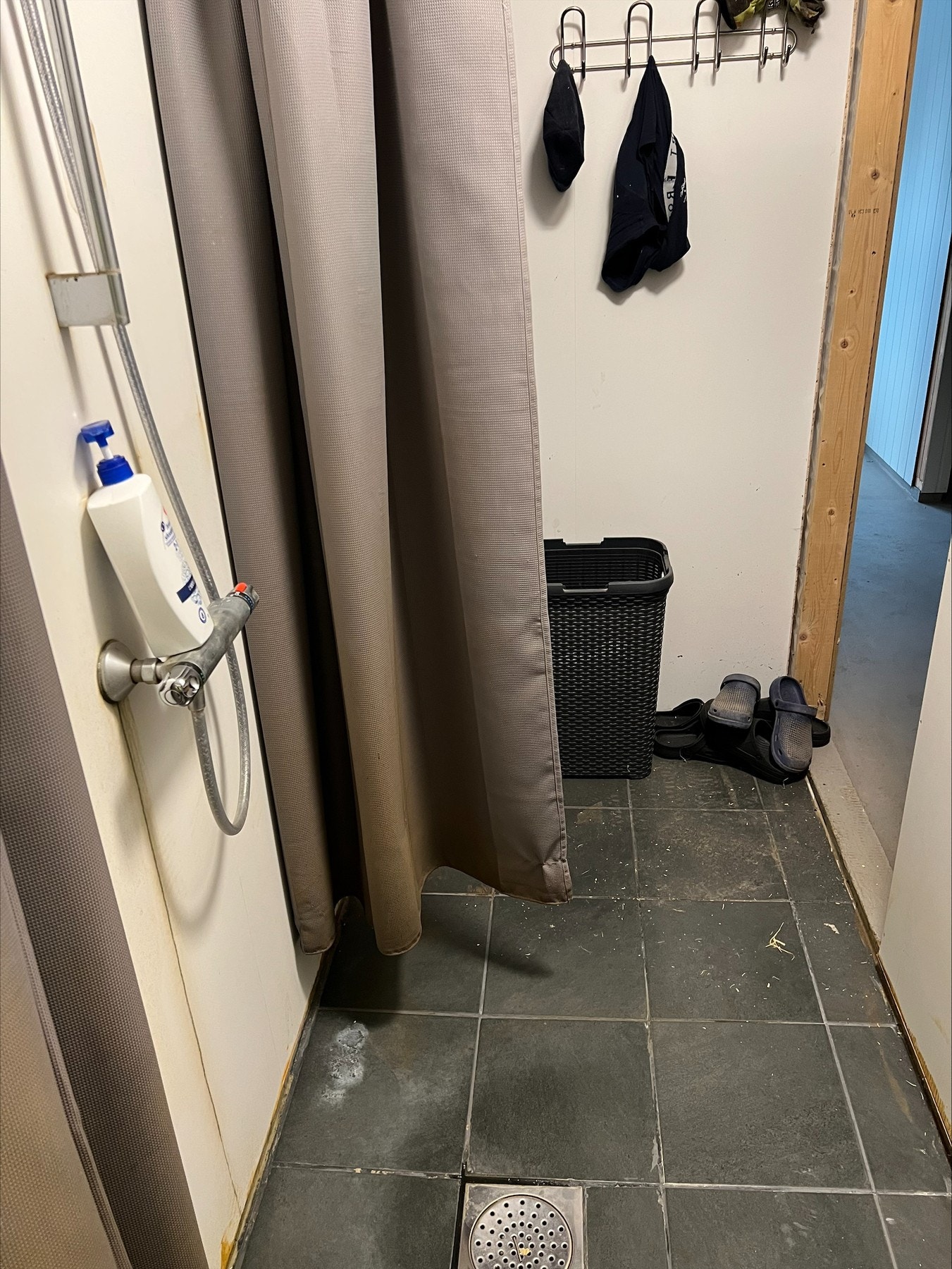 Det er dusj i fjøset. Galleribilde