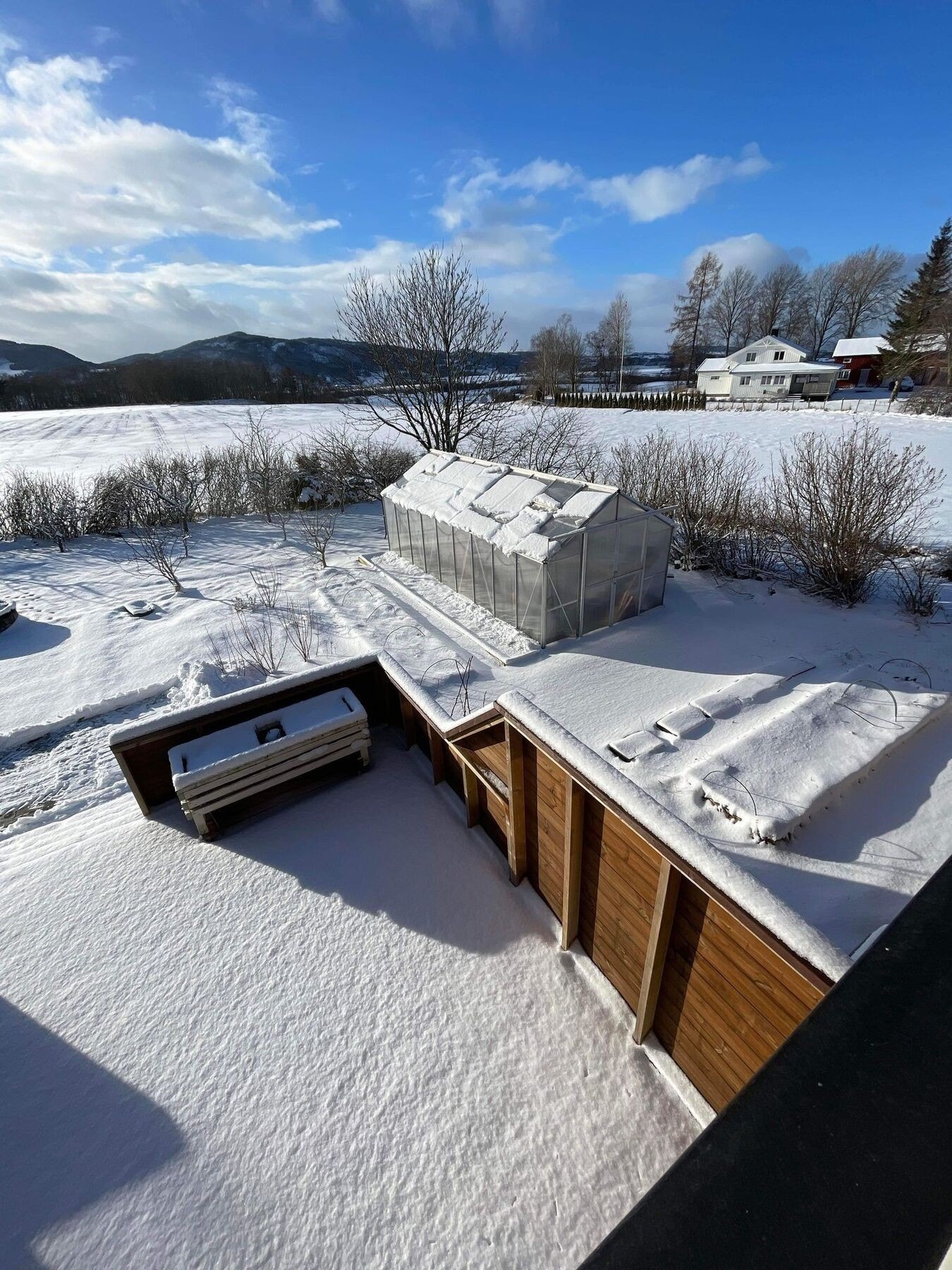 Drivhus i vinterdrakt. Galleribilde