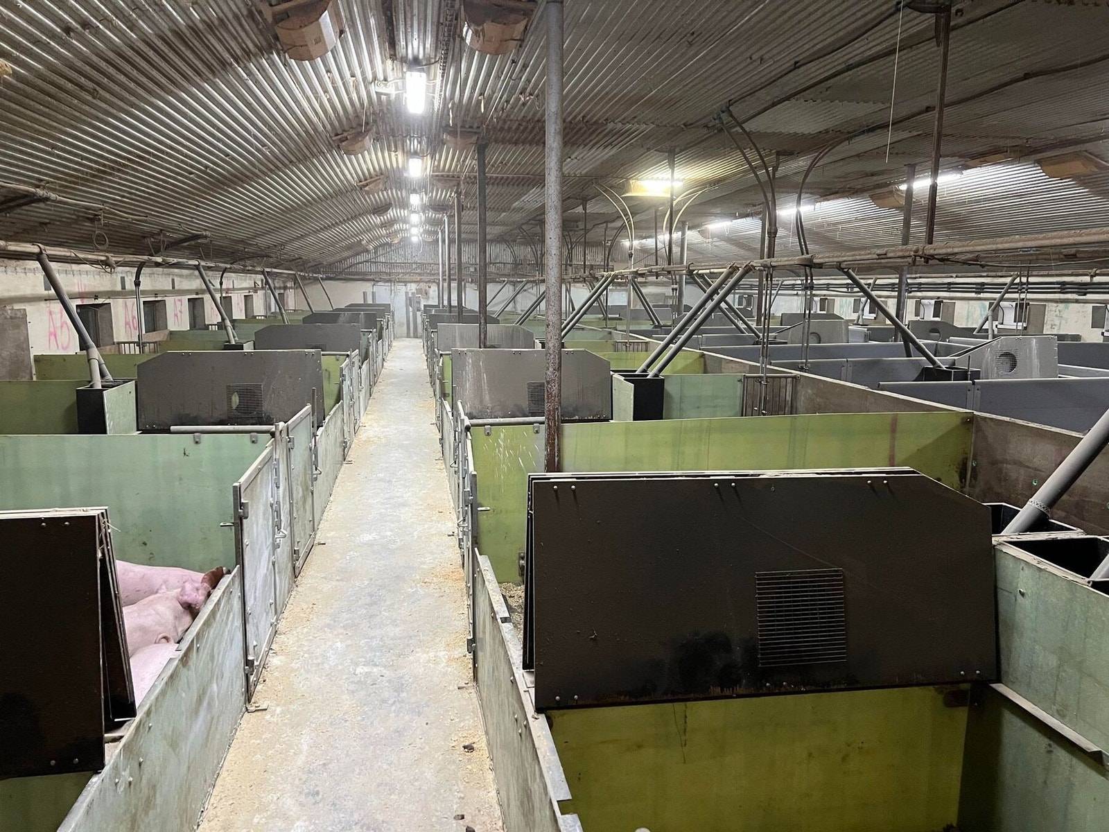 Husdyrrom Galleribilde