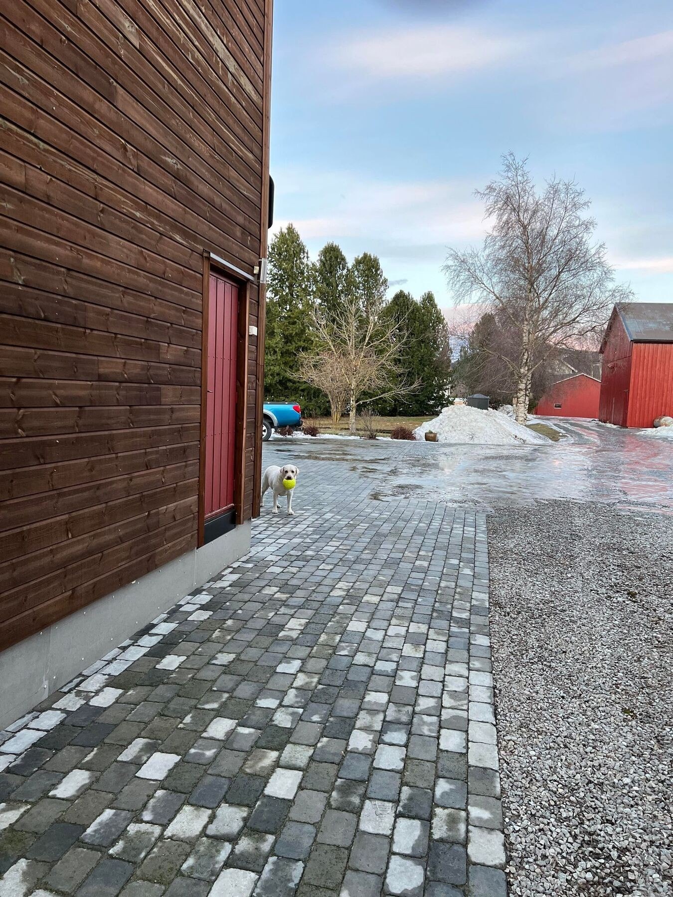 Gårdsplass. Gårdshunden er tilstede. Galleribilde