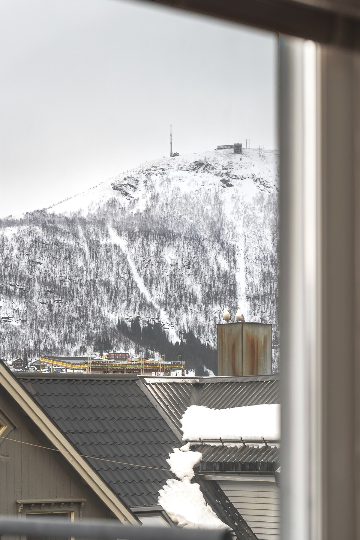 Fra leiligheten har du utsikt mot Fløya/Fjellheisen.
