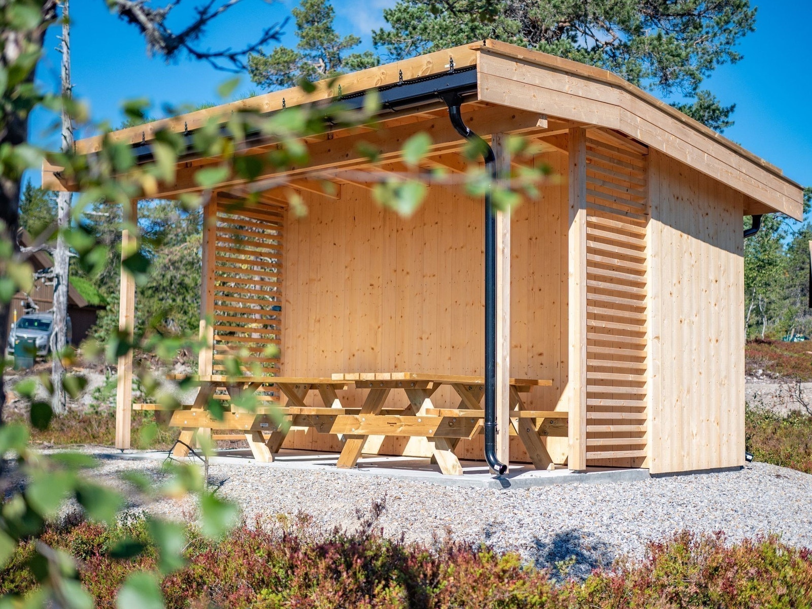 Felles gapahuk Galleribilde