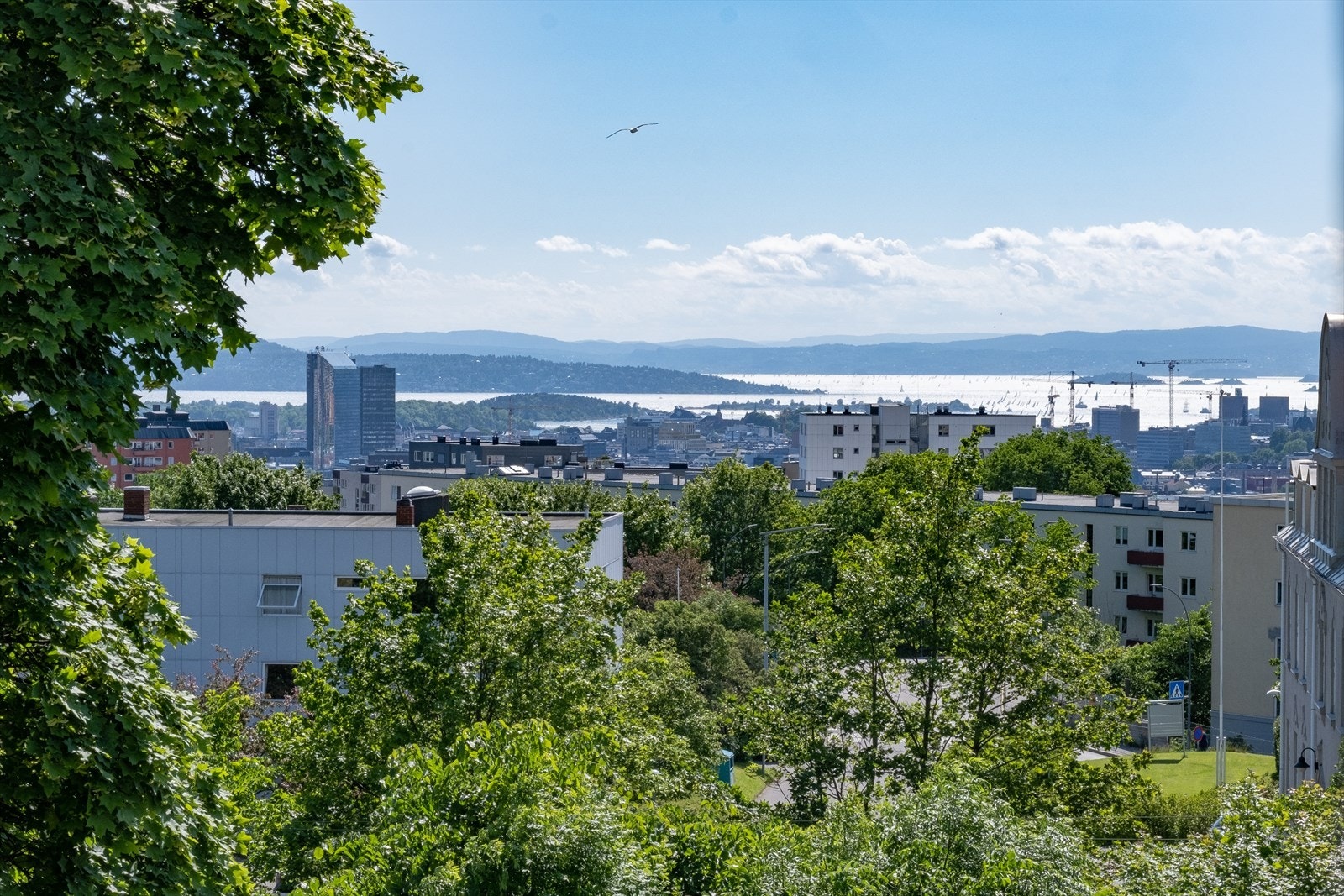 Utsikt sommerstid Galleribilde