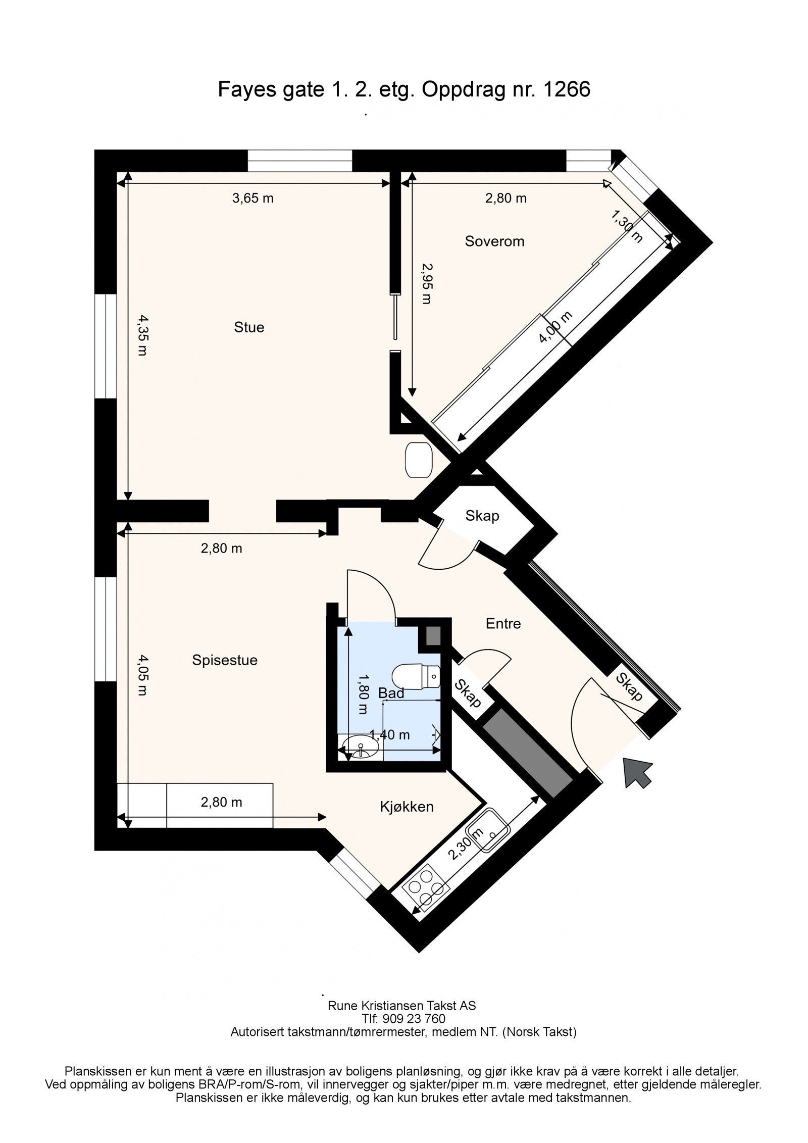Planskisse. Galleribilde