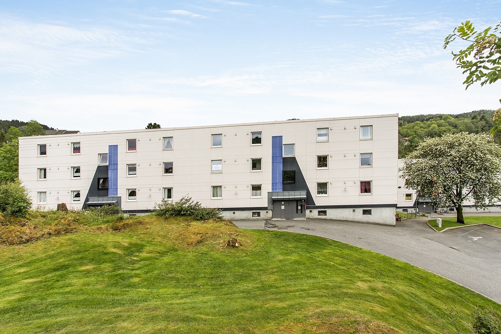 Fasade. Galleribilde